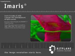 Imsris - Bitplane