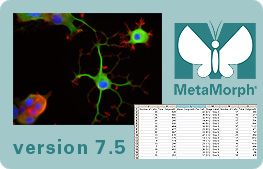 Imaging Processing tools